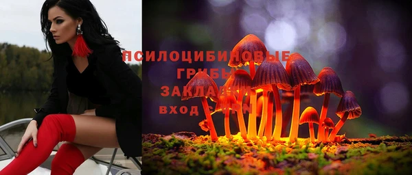 синтетический гашиш Няндома
