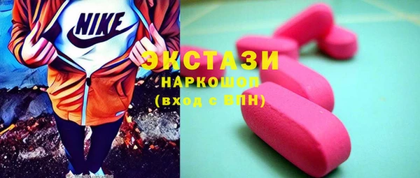 хмурый Гусь-Хрустальный