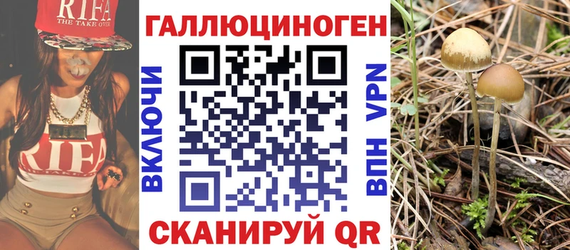 Галлюциногенные грибы ЛСД  блэк спрут вход  Сельцо 